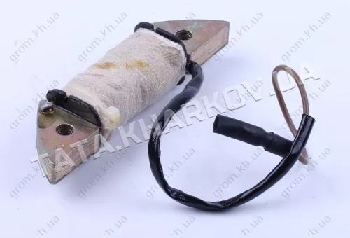 Фото 1- Котушка генератора - 168F