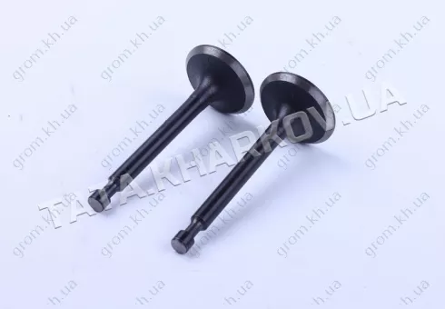 Фото 1- Клапана впуск выпуск - 168F