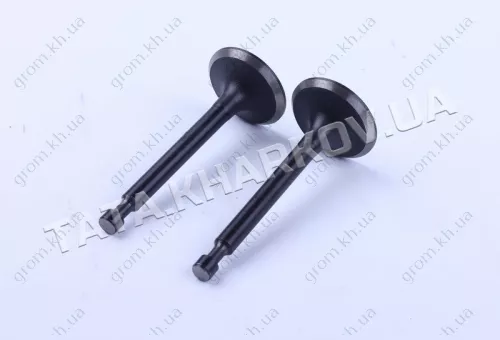 Фото 1- Клапана впуск випуск - 168F