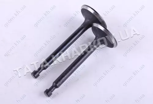 Фото 1- Клапана впуск випуск - 168F - Premium