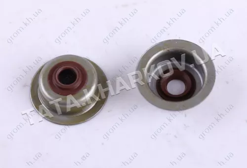 Фото 1- Сальники клапанов (2 шт.) - 168F - Premium