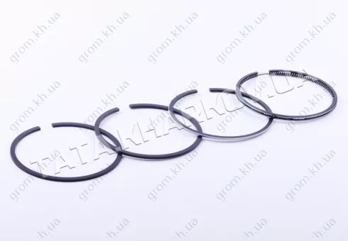 Фото 1- Кольца Ø100,25 mm - ZS/ZH1100