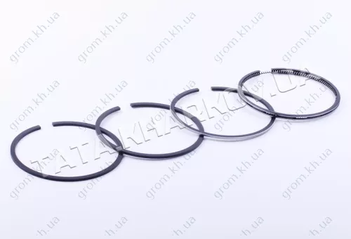 Фото 1- Кольца Ø100,25 mm - ZS/ZH1100