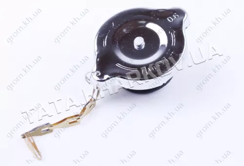 Фото 1- Кришка радіатора - ZS/ZH1100