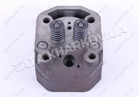 Фото 1- Головка цилиндра в сборе (ZUBR original) - 195N