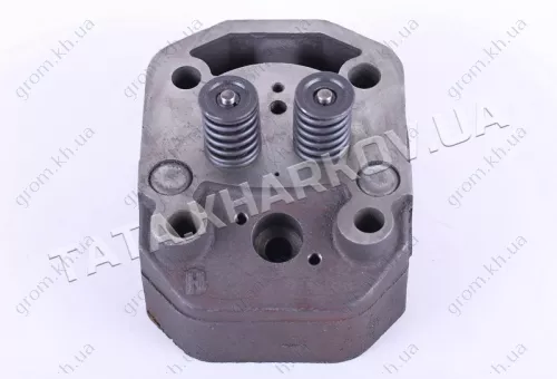 Фото 1- Головка циліндра у зборі (ZUBR original) - 195N