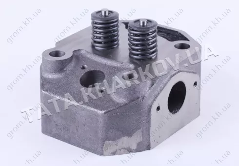 Фото 1- Головка цилиндра в сборе (ZUBR original) - 195N - Premium