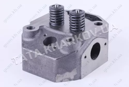 Фото 1- Головка цилиндра в сборе (ZUBR original) - 195N - Premium