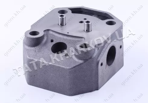 Фото 1- Голівка циліндра гола (ZUBR original) - 195N