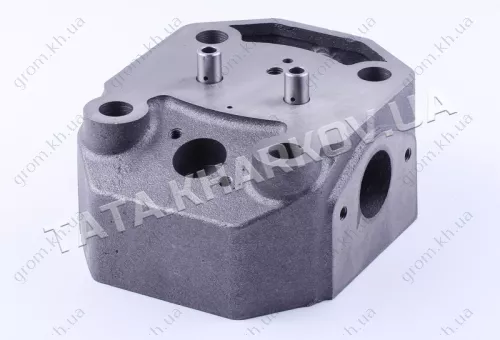 Фото 1- Голівка циліндра гола (ZUBR original) - 195N