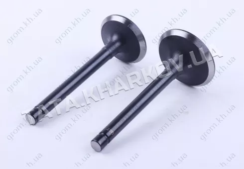 Фото 1- Клапаны GZ (пара) - 195N