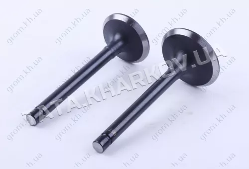 Фото 1- Клапаны GZ (пара) - 195N