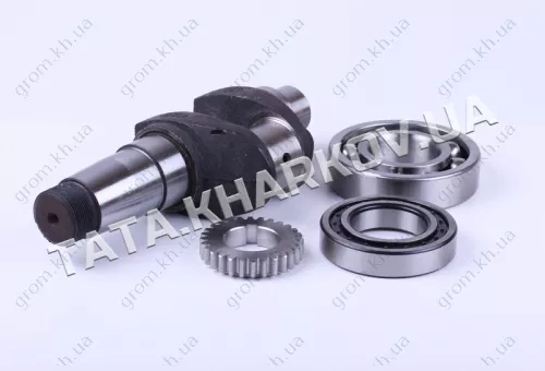 Фото 1- Коленвал в сборе с подшипниками и шестерней (1GZ90) - 195N