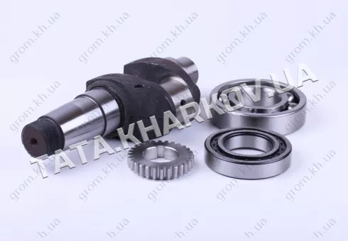 Фото 1- Коленвал в сборе с подшипниками и шестерней (ZUBR original) - 195N