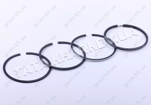 Фото 1- Кольца 95,0 mm STD - 195N