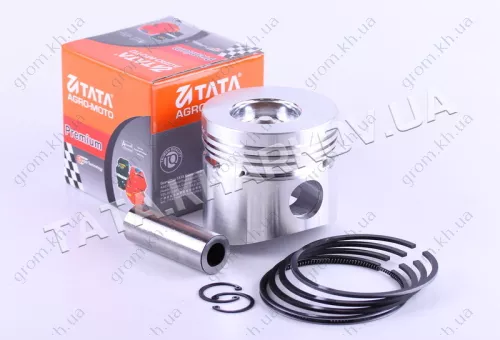 Фото 1- Поршневий комплект 95,25 мм (1GZ90) - 195N - Premium