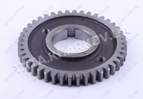 Фото 1- Шестерня розподільна колінвала Z-42 - 195N