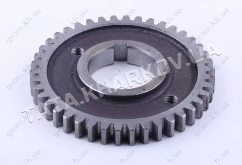 Фото 1- Шестерня коленвала распределительная Z-42 - 195N