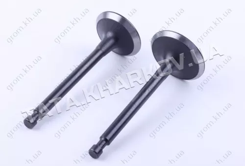 Фото 1- Клапани впуск випуск - 188F