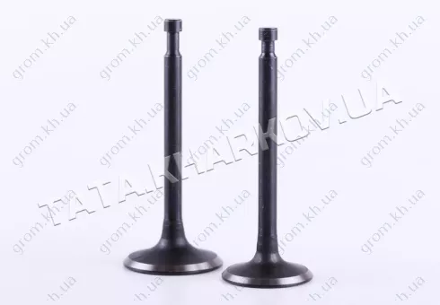 Фото 1- Клапани впуск випуск - 188F - Premium