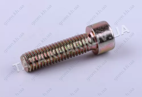 Фото 1- Гвинт кошика зчеплення - КПП