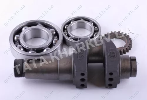 Фото 1- Коленвал в сборе с подшипниками и шестерней - 175N - Premium