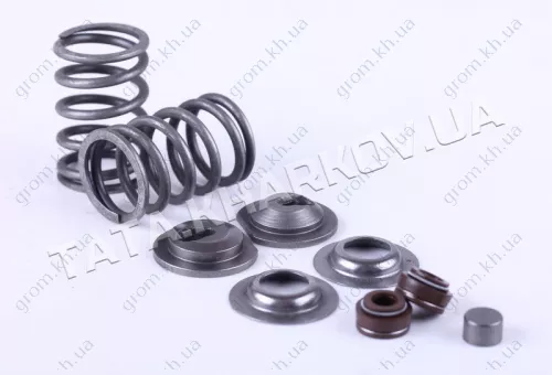 Фото 1- Клапанный механизм комплект (пружины, тарелки, сальн.клап.) на 2 кл. - 177F