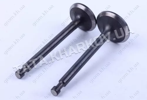 Фото 1- Клапани впуск випуск - 177F