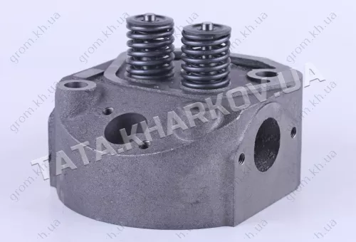 Фото 1- Головка циліндра у зборі - 190N - Premium