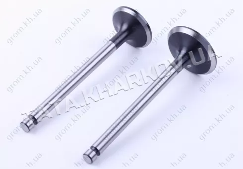 Фото 1- Клапаны впуск выпуск - 190N