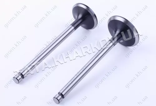 Фото 1- Клапаны впуск выпуск - 190N