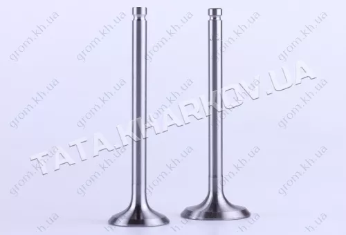 Фото 1- Клапаны впуск выпуск - 190N - Premium