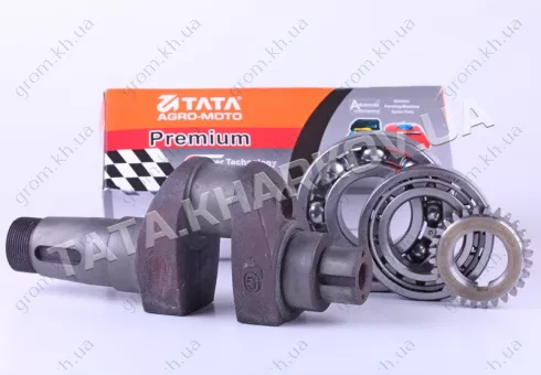 Фото 1- Колінвал у зборі з підшипниками та шестернею - 190N - Premium