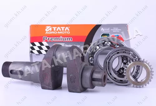 Фото 1- Колінвал у зборі з підшипниками та шестернею - 190N - Premium