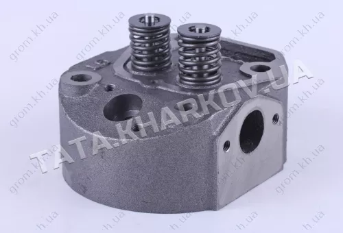 Фото 1- Головка циліндра у зборі - 180N - Premium