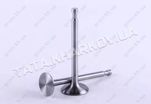 Фото 1- Клапани впуск випуску Ø7 mm - 180N