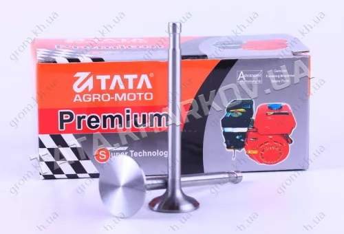 Фото 1- Клапани впуск випуску Ø7 mm - 180N - Premium