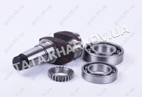 Фото 1- Коленвал в сборе (подшипники 6310/6210, шестерня) - 180N