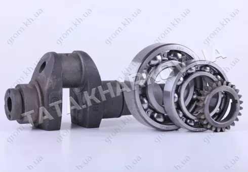 Фото 1- Коленвал в сборе с подшипниками и шестерней - 180N - Premium