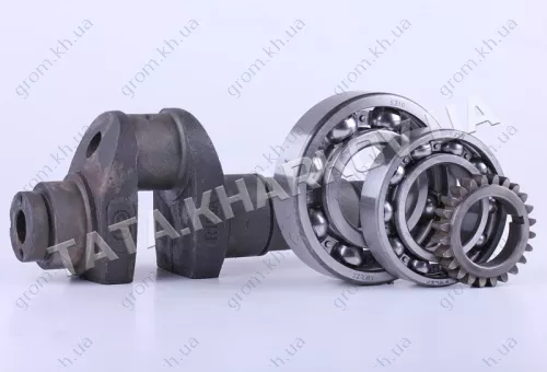 Фото 1- Коленвал в сборе с подшипниками и шестерней - 180N - Premium