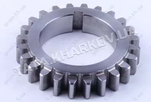 Фото 1- Шестерня колінвала розподільна Z-24-180N