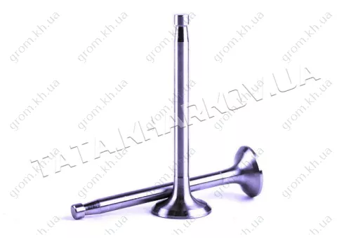 Фото 1- Клапани впуск випуску Ø8 mm - 180N