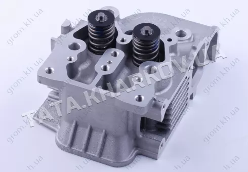Фото 1- Головка блока в сборе Zubr (под 3 болта) - 186F