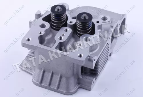 Фото 1- Головка блока в сборе Zubr (под 3 болта) - 186F