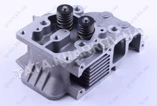 Фото 1- Головка блока в сборе Витязь/КАМА (2 болта) - 186F