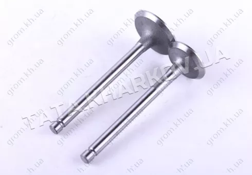 Фото 1- Клапани (пара) - 186F - Premium