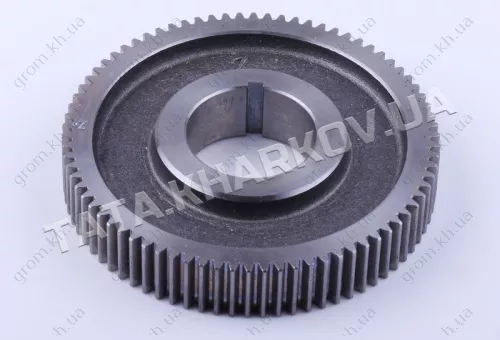 Фото 1- Шестерня розподільного валу Z-78 - 186F