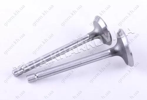 Фото 1- Клапани (пара) - 178F - Premium