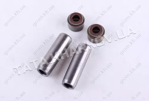 Фото 1- Напрямні клапанів із сальниками (на 2 кл.) - 178F - Premium