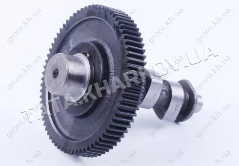 Фото 1- Розподільний вал з шестернею Z-72 - 178F